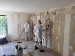 Best Asbestos and Lead Testing During Mold Inspection  in Gunter, TX